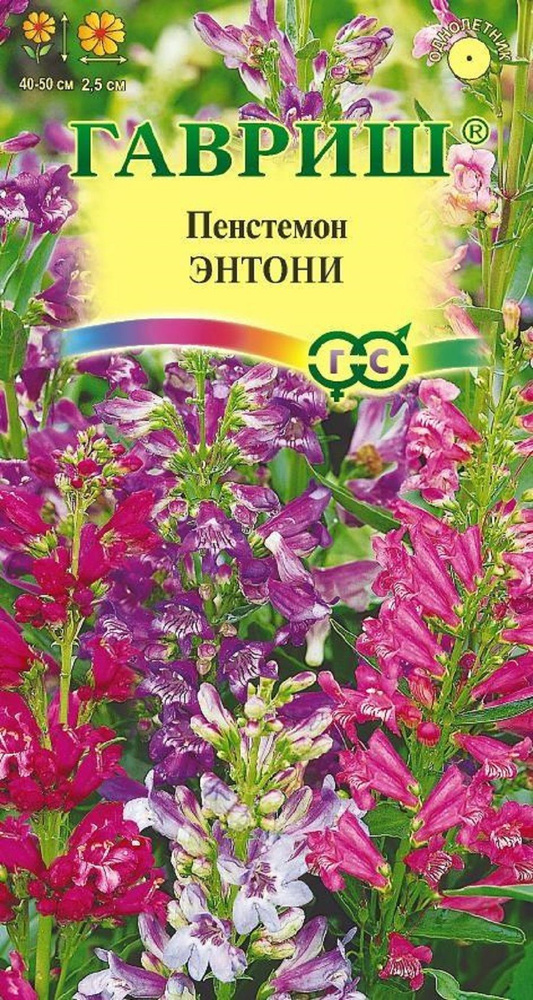 Пенстемон Энтони / Гавриш / 0,1 гр #1