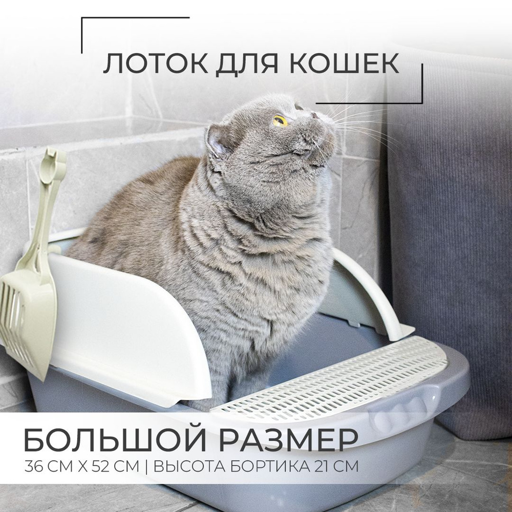 Лоток для кошек большой с высокими бортиками - купить с доставкой по ...