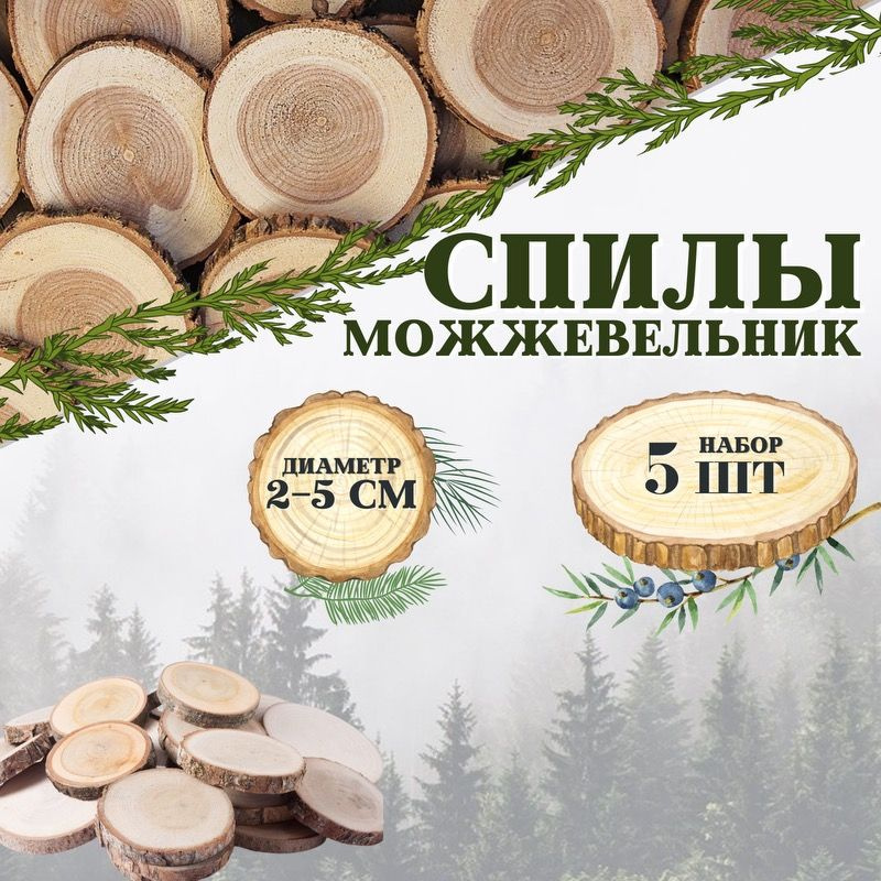 Торцевой спил можжевельника 5 штук - купить с доставкой по выгодным ...