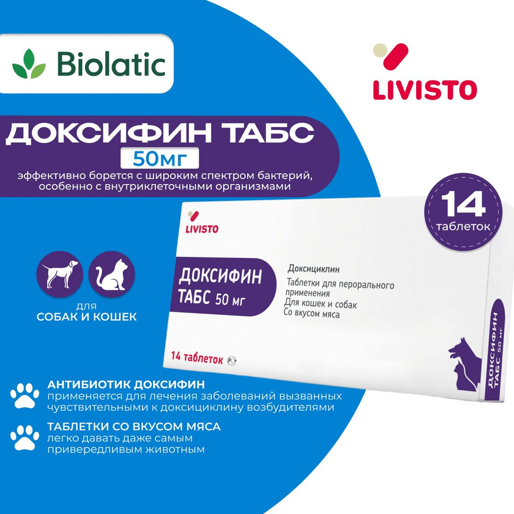 Доксифин табс 50 мг таблетки, 14 шт. (вет) - купить с доставкой по выгодным  ценам в интернет-магазине OZON (724530323)
