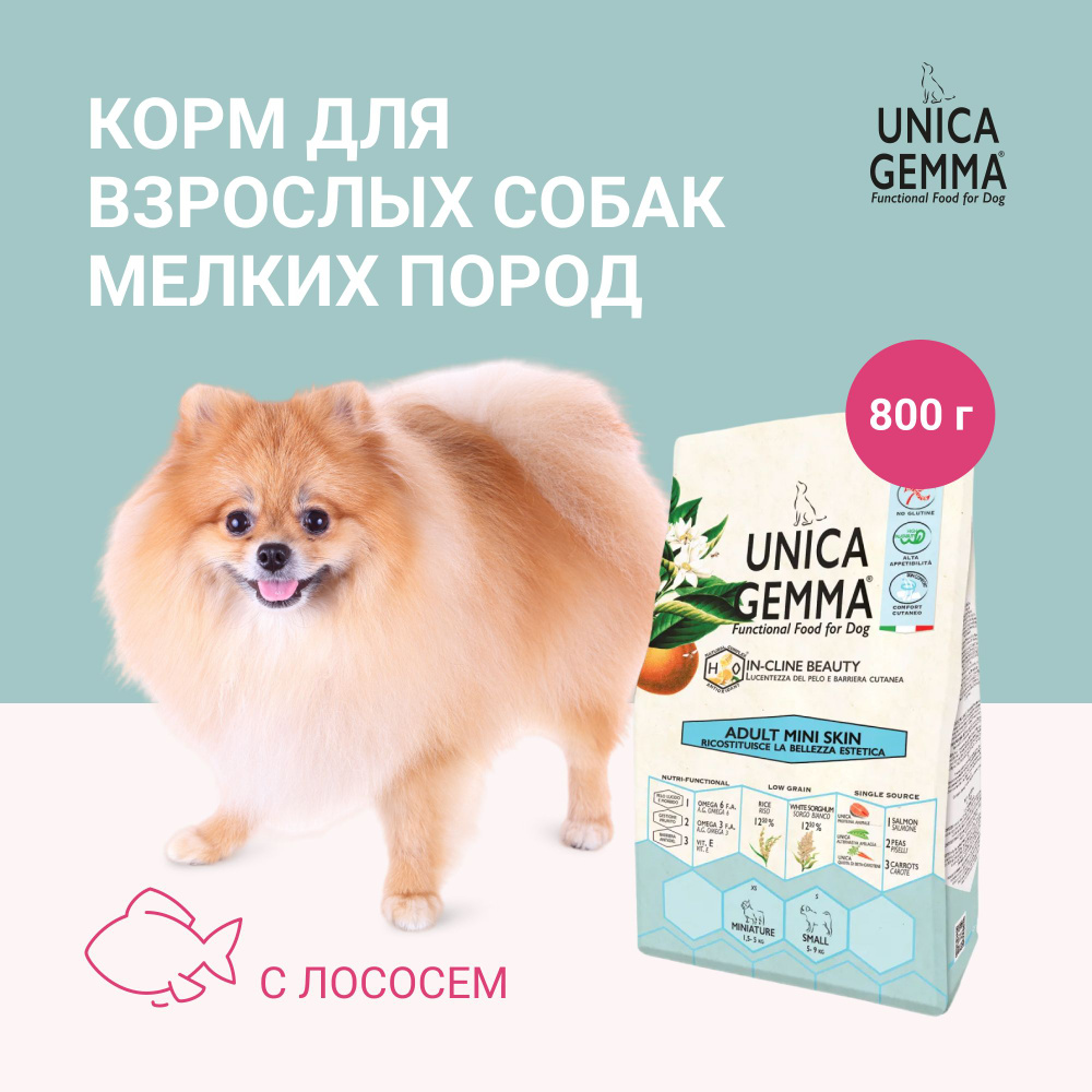 Корм для собак сухой UNICA GEMMA для собак мелких пород (для кожи и шерсти)  с лососем, 800 гр. - купить с доставкой по выгодным ценам в  интернет-магазине OZON (1318310863)