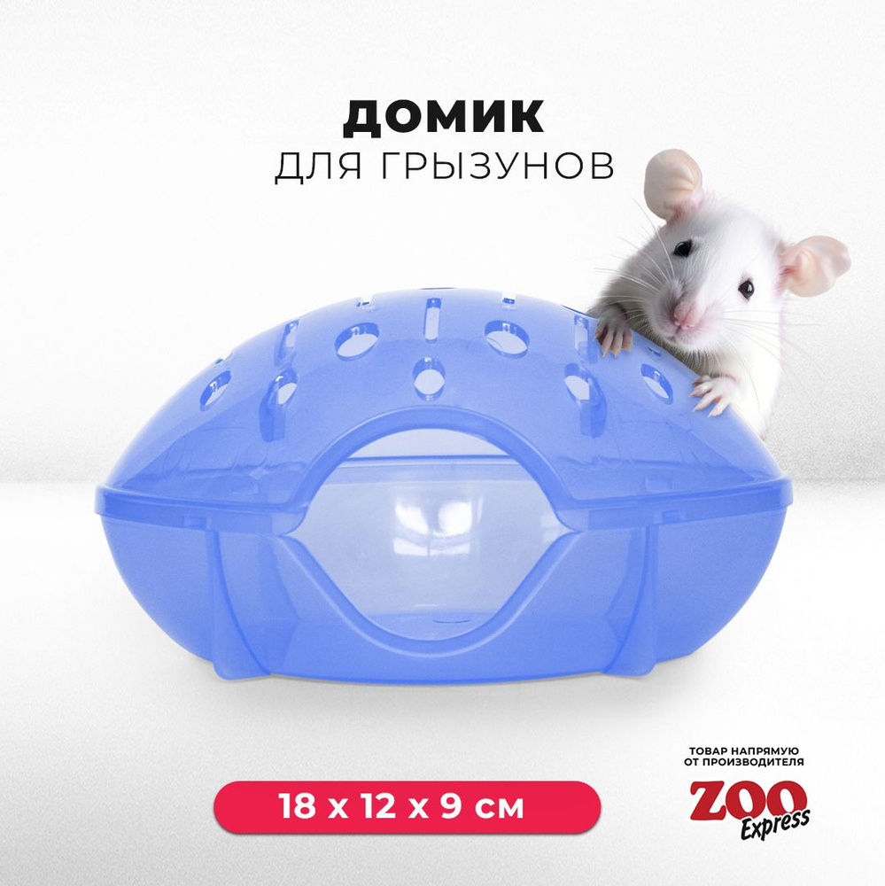 Домик ZOOexpress для грызунов, хомяков, крыс и мышей, 18х12х9 см, без  дверцы, голубой - купить с доставкой по выгодным ценам в интернет-магазине  OZON (1261324706)