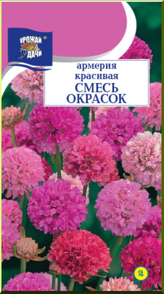 Армерия красивая СМЕСЬ окрасок (Семена УРОЖАЙ УДАЧИ, 0,05 г семян в упаковке)  #1