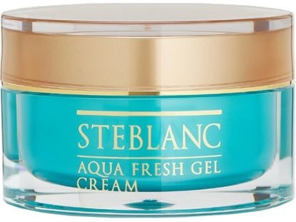 Увлажняющий крем-гель для лица STEBLANC Aqua Fresh Gel Cream #1