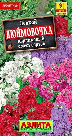 ЛЕВКОЙ КАРЛИКОВЫЙ ДЮЙМОВОЧКА. Семена. Вес 0,1 гр. Низкорослый левкой с крупными, махровыми цветками и #1