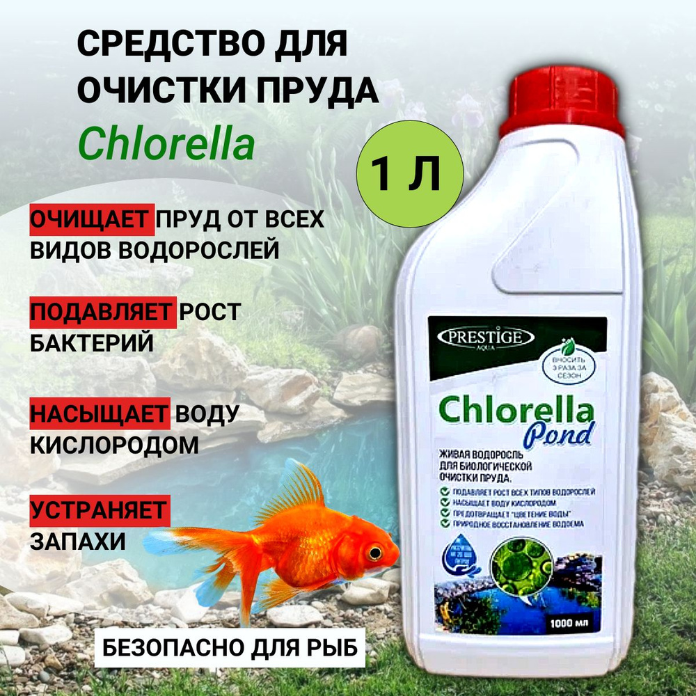 Живая водоросль для биологической очистки пруда Chlorella Pond 1 л  #1
