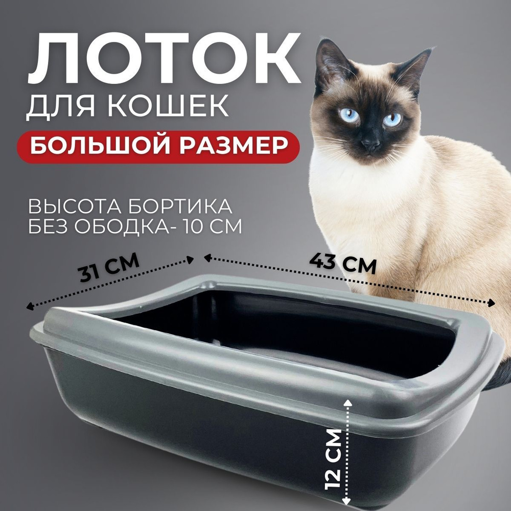 Лоток для кошек большой с ободком - купить с доставкой по выгодным ...