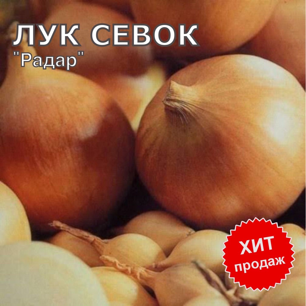 Лук севок на посадку "Радар" 900г #1