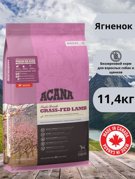 Acana grass fed lamb dog food sale