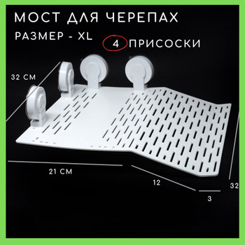 Тритон аквариумный: виды, уход, содержание, размножение, совместимость, корм, фото-обзор