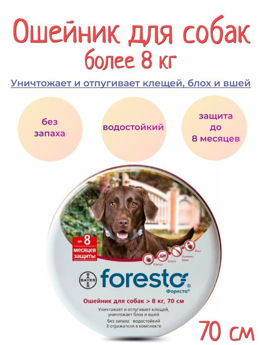 Форесто ошейник для собак от блох отзывы. Форесто ошейник для собак от блох отзывы