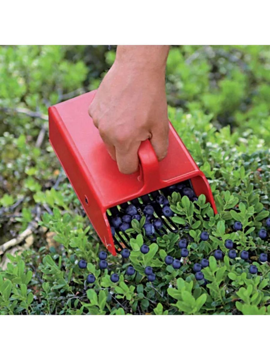 Плодосъемник ягодосборник для сбора ягод - купить с доставкой по ...