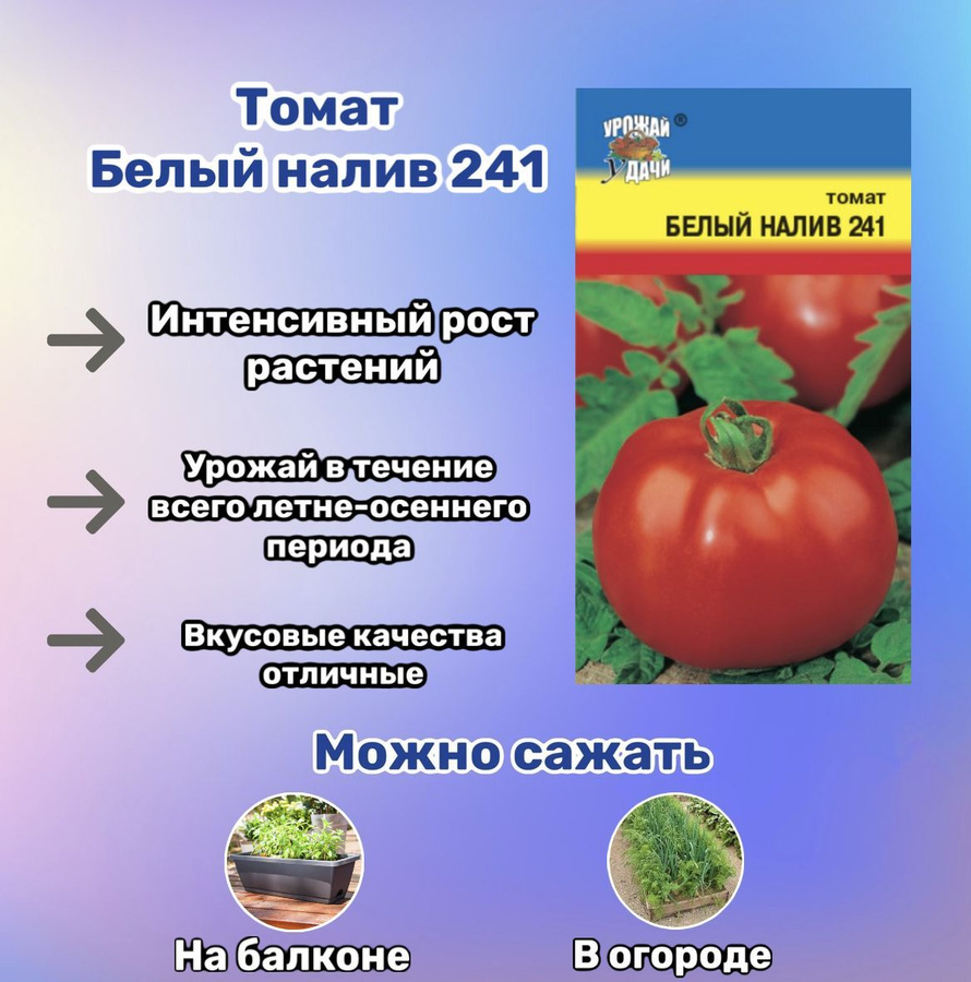 Томаты белый налив отзывы фото урожайность. Томат белый налив. Помидоры белый налив описание. Многолетний помидор. Белый налив томат описание.