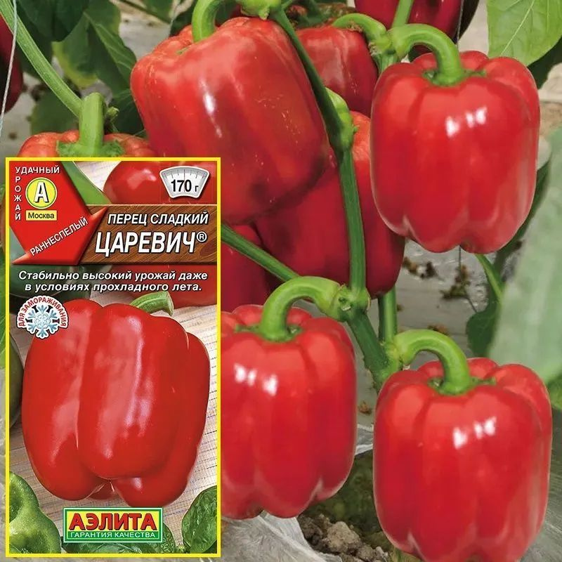 Цесаревич сладкий перец сладкий. Перец царевич отзывы. Перец цесаревич семена алтая. Перец царевич отзывы. Воловье ухо перец описание.