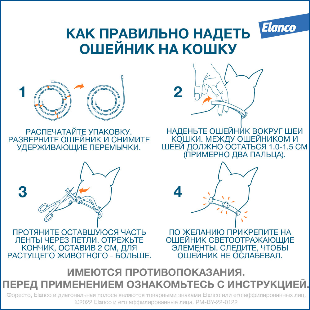 Текстовое описание изображения