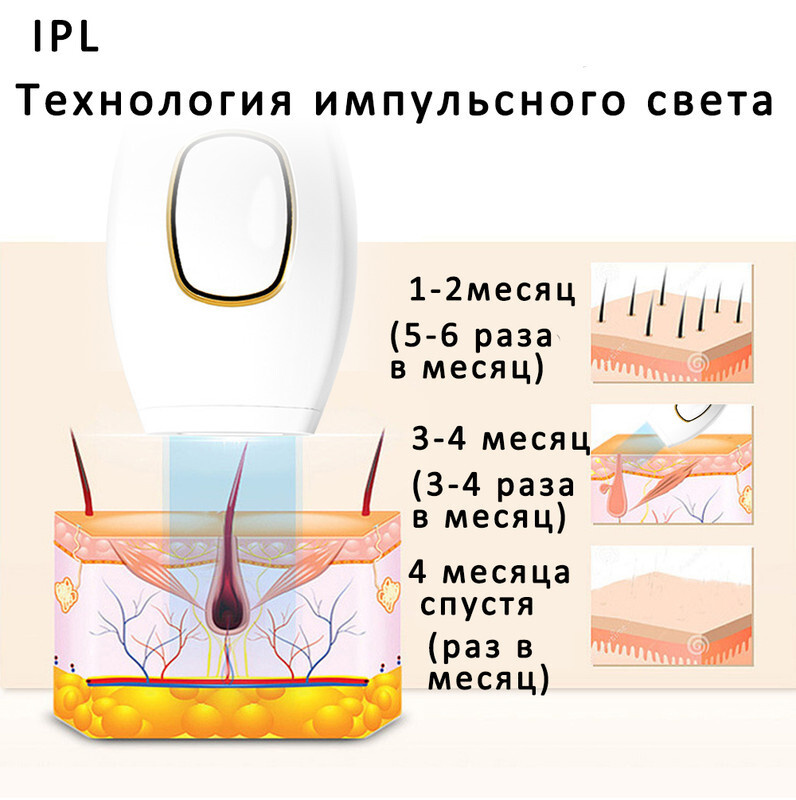 Текстовое описание изображения