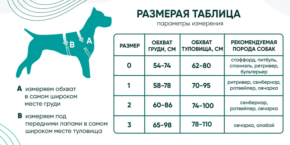 Текстовое описание изображения