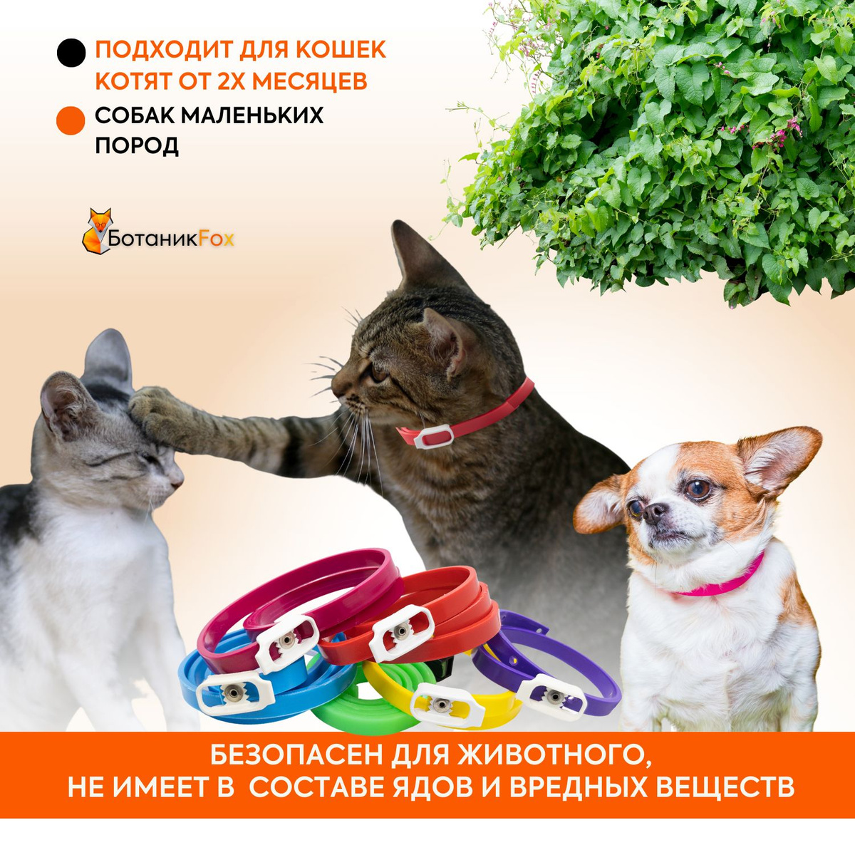 Ошейник от блох и клещей для кошек и собак мелких пород БИО БОТАНИКFOX ...