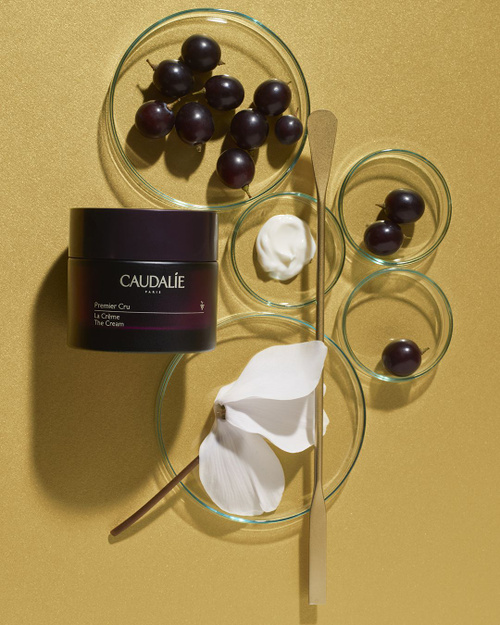Крем для лица антивозрастной Caudalie Premier Cru, 50 мл купить на