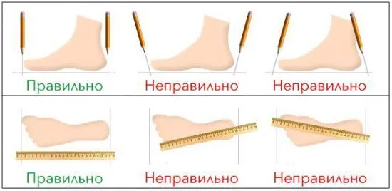 Джазовки МИРТА с раздельной подошвой, вариант, фото 2