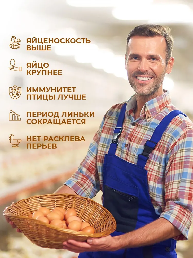 Витамины для кур несушек с Черной львинкой / для повышения яйценоскости и от расклева / гранула, 700 гр., 700 г, фото 2