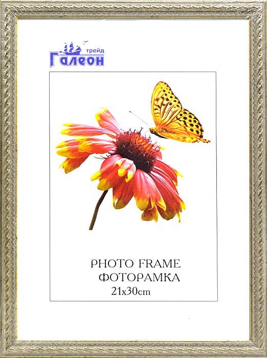 Фоторамка пластиковая 21 х 30 см, золотая