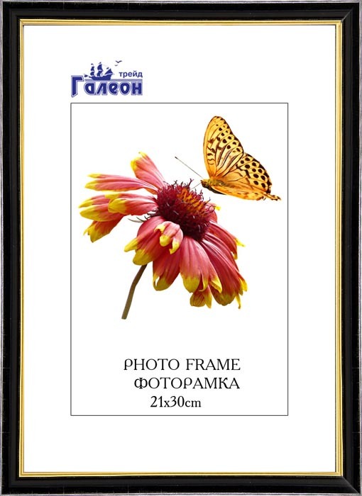 Фоторамка пластиковая 21 х 30 см, черная