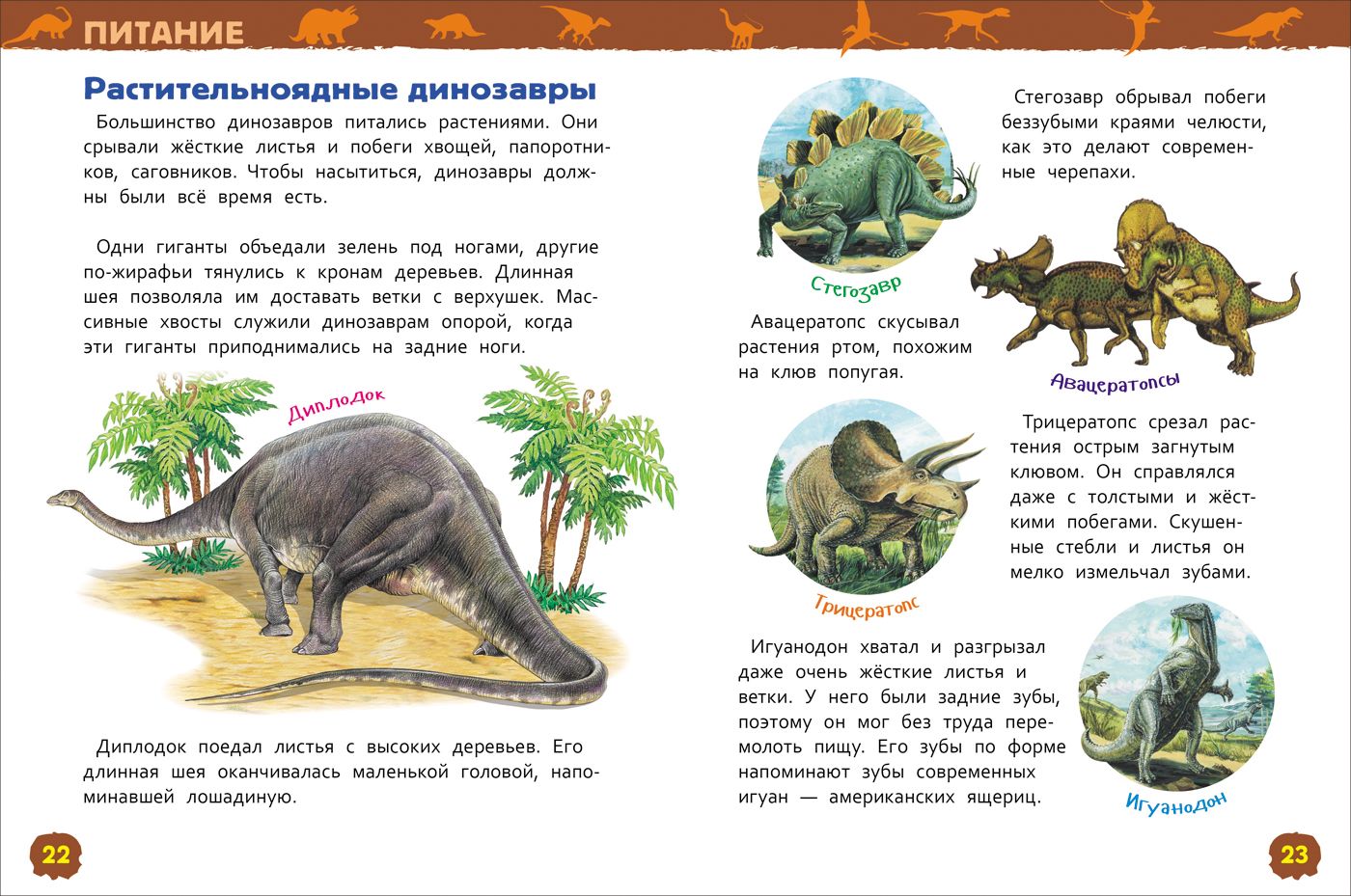 Динозавры. Энциклопедия для детского сада | Reference Book - Ozon image 6