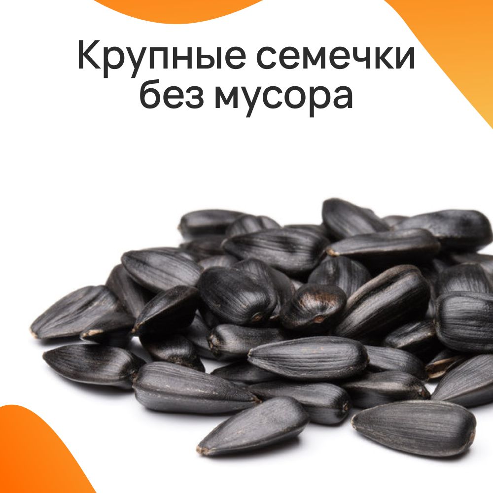 Семечки подсолнуха. Семечки. Семя подсолнечника. Семечки на белом фоне. Семечки подсолнечника неочищенные.