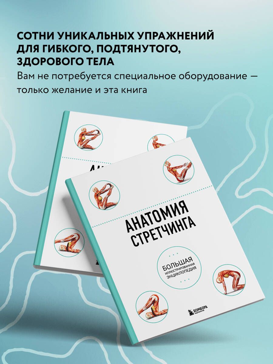 Анатомия стретчинга. Большая иллюстрированная энциклопедия | The Anatomy of Stretching: Your Illustrated Guide to Flexibility and Injury Rehabilitation - Ozon image 2
