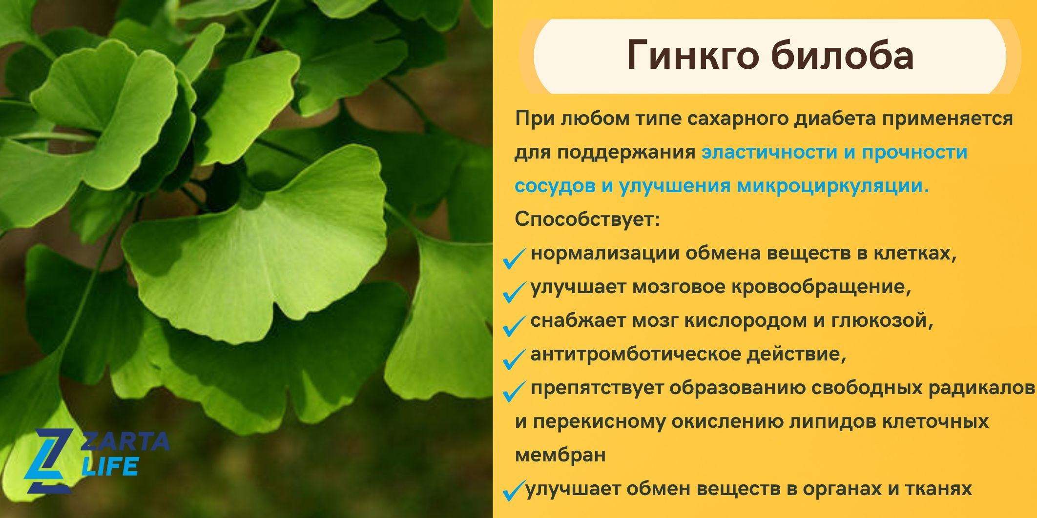 Витамины для диабетиков при диабете 2 типа на основе экстракта корня лопуха  и гинкго билоба - купить с доставкой по выгодным ценам в интернет-магазине  OZON (1010999891)