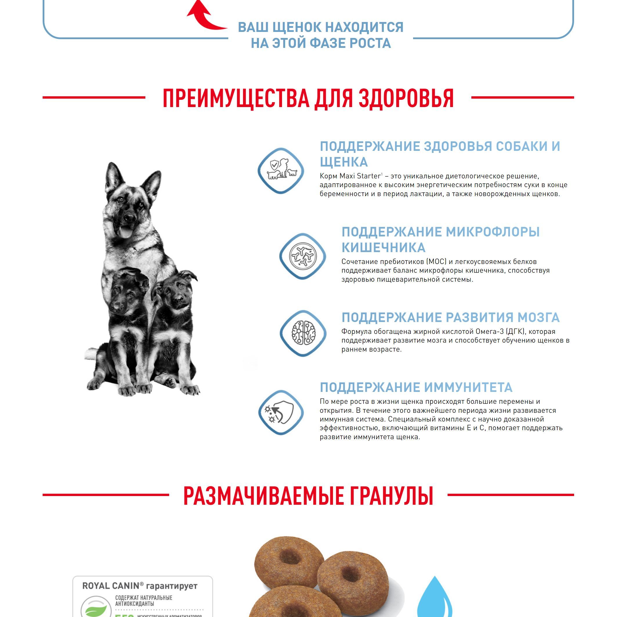 Royal Canin Maxi Starter (Роял Канин Макси Стартер со вкусом птицы ...