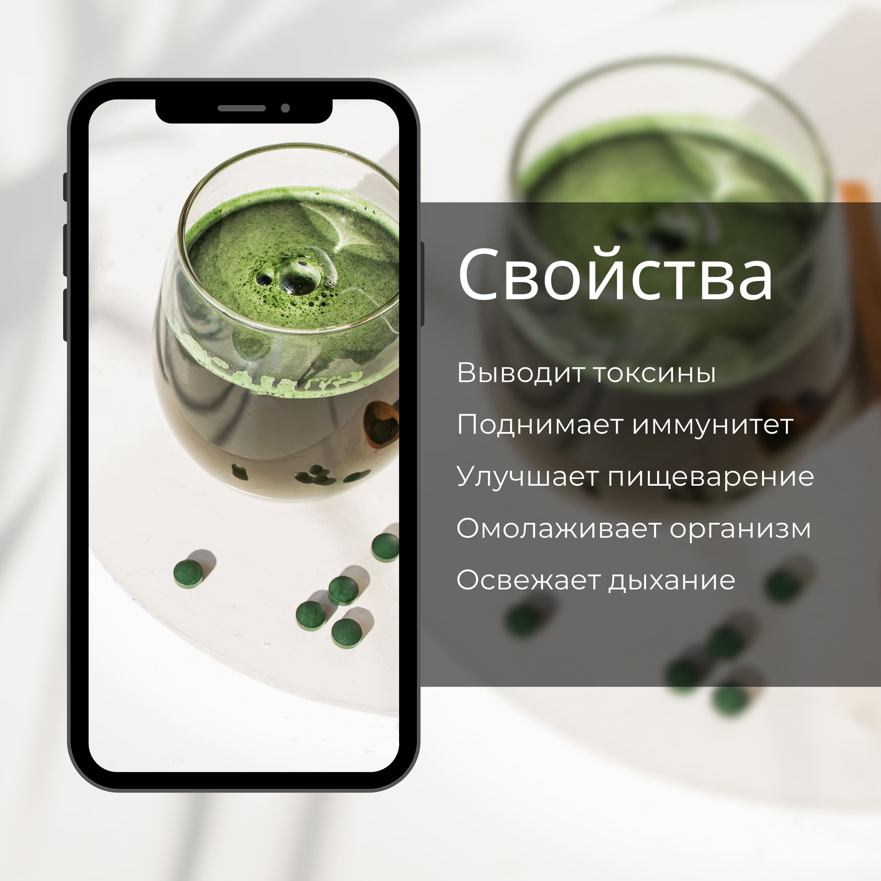 Концентрат живой микроводоросли хлорелла "ECOTONICA" 2000 мл / Для ...