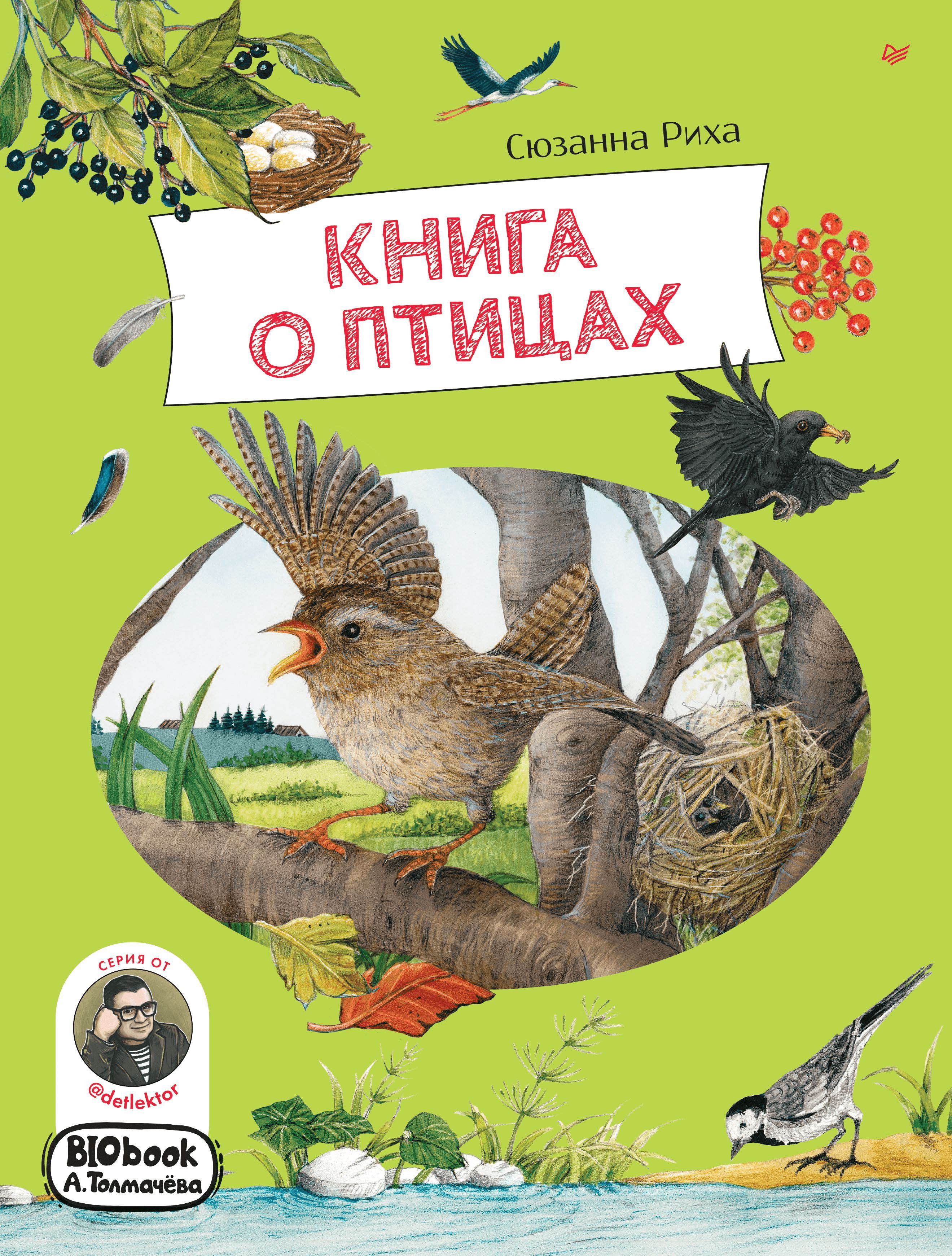 Книга о птицах. BIObook А. Толмачёва | Birds Book. BIObook - Ozon image 4