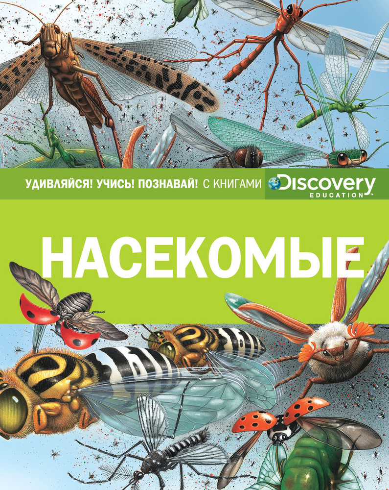 Насекомые #1