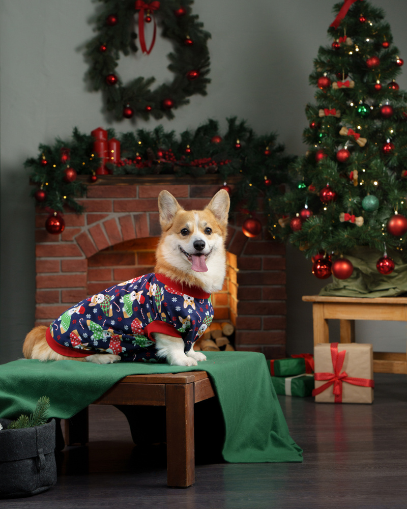 Новогодний Корги -футболка для корги с красным воротничком, размер L .  Одежда для собак. Новогодний костюм для собак. - купить с доставкой по  выгодным ценам в интернет-магазине OZON (413424289)