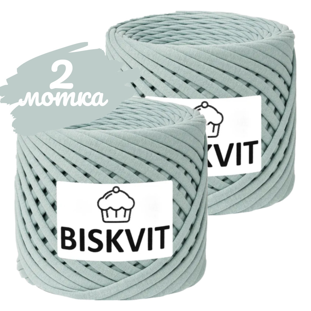 Трикотажная пряжа Biskvit камбоджа, 100м., лицевая,2шт. (бисквит)  #1