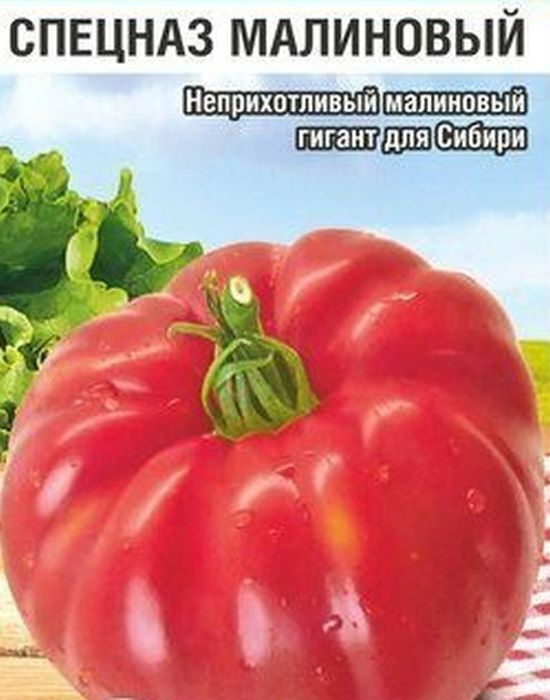 Томаты Сибирский сад Тор39414.1 - купить по выгодным ценам в интернет ...