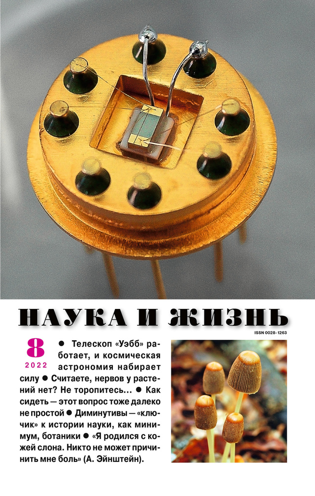 Наука и жизнь - август 2022. Российский научно-популярный журнал #1