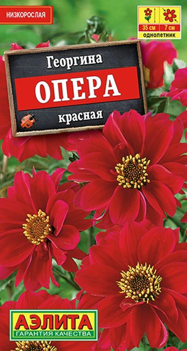 Семена Георгина Опера Красная (7 семян) - Аэлита #1