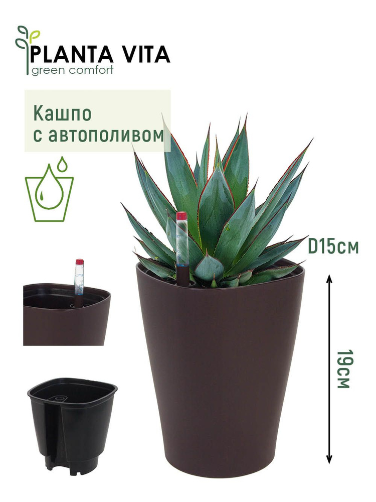 Кашпо для цветов суккулентов кактусов с автополивом пластиковое PLANTA ...