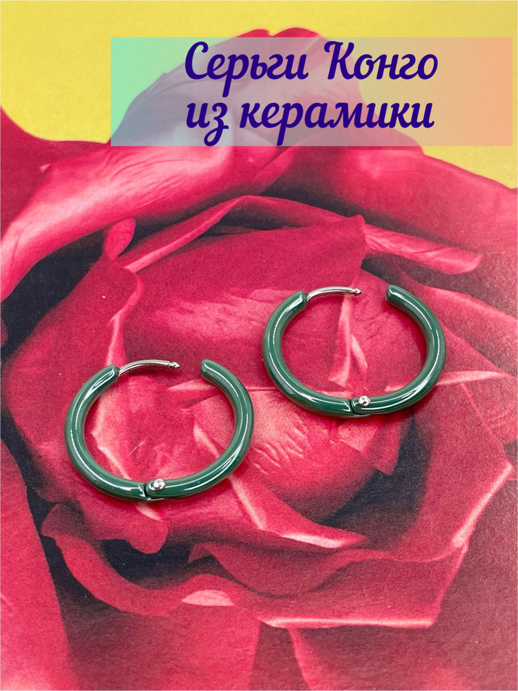 Silverich Серьги кольца #1