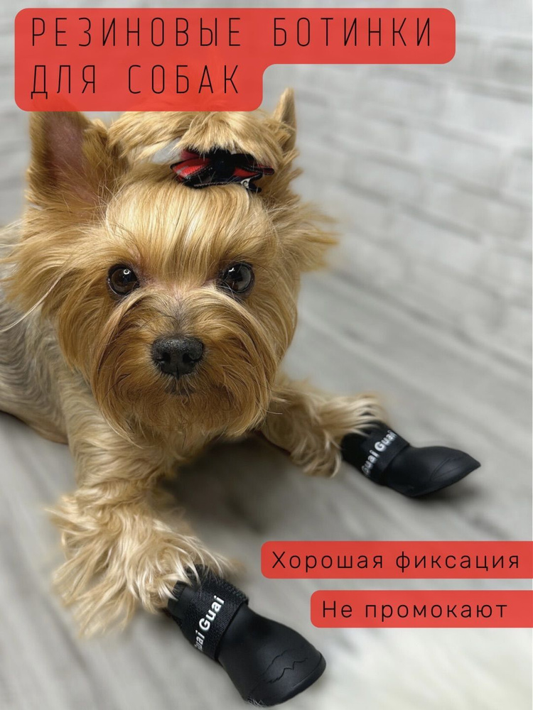 Обувь для собак резиновая / Черные / Размер S - купить с доставкой по  выгодным ценам в интернет-магазине OZON (490556426)