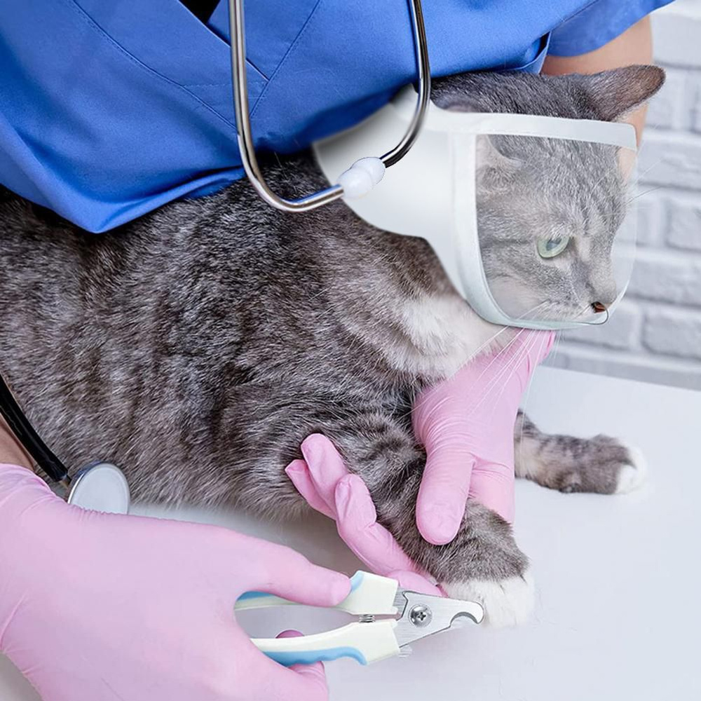 Намордник для кошек прозрачный пластиковый АНТИКУСЬ - купить с ...