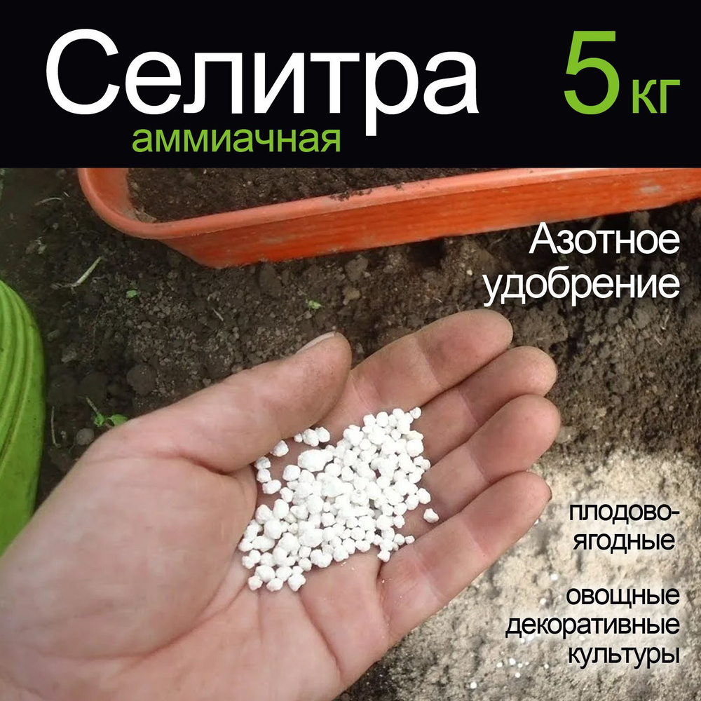 Что подкармливают аммиачной селитрой весной в саду. Аммиачно кальциевая селитра. Чем лучше удобрить кальцием или мочевиной викторию. Аммиачные удобрения. Минеральные удобрения аммиачная селитра.