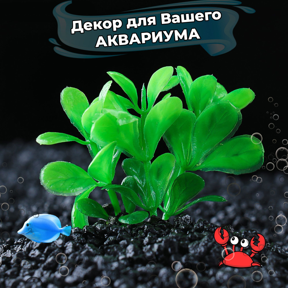 Растение для аквариума Искусственное Зеленая Лагуна 6 см, зеленое - купить  с доставкой по выгодным ценам в интернет-магазине OZON (965739162)