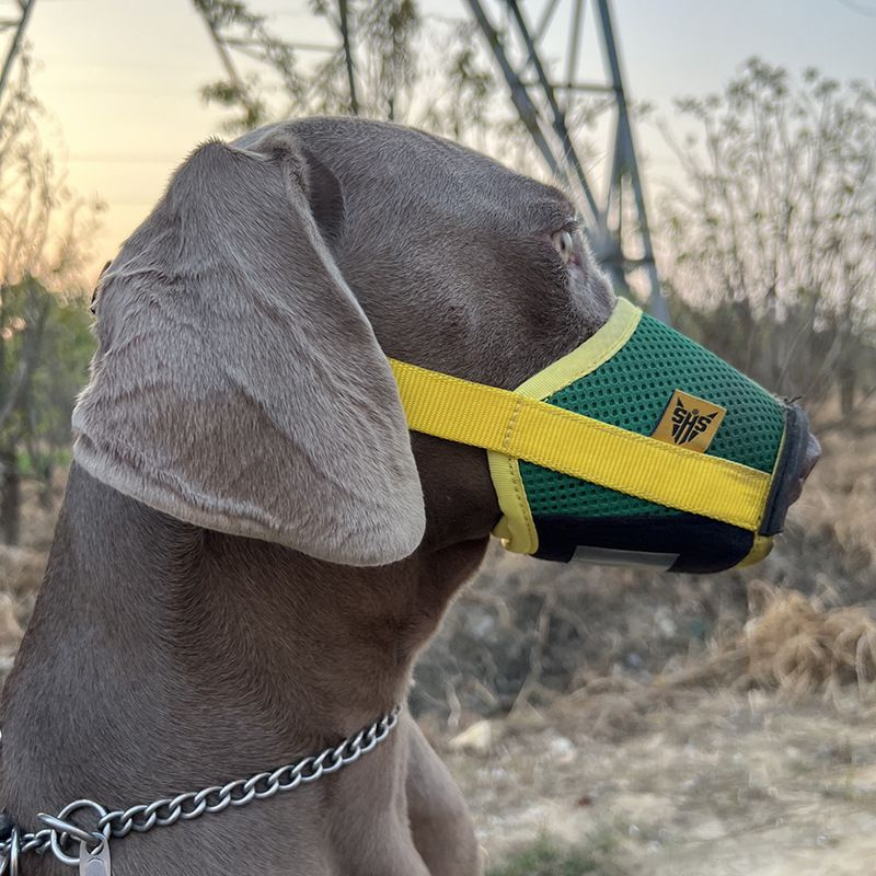 Намордник для собак Защита от отравлений сетка на морду - купить с ...