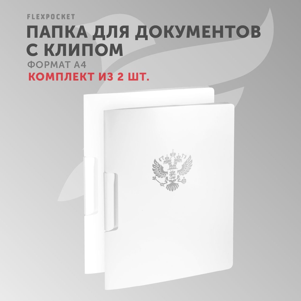 Flexpocket Папка A4 (21 × 29.7 см), 2 шт. - купить с доставкой по выгодным  ценам в интернет-магазине OZON (977412578)