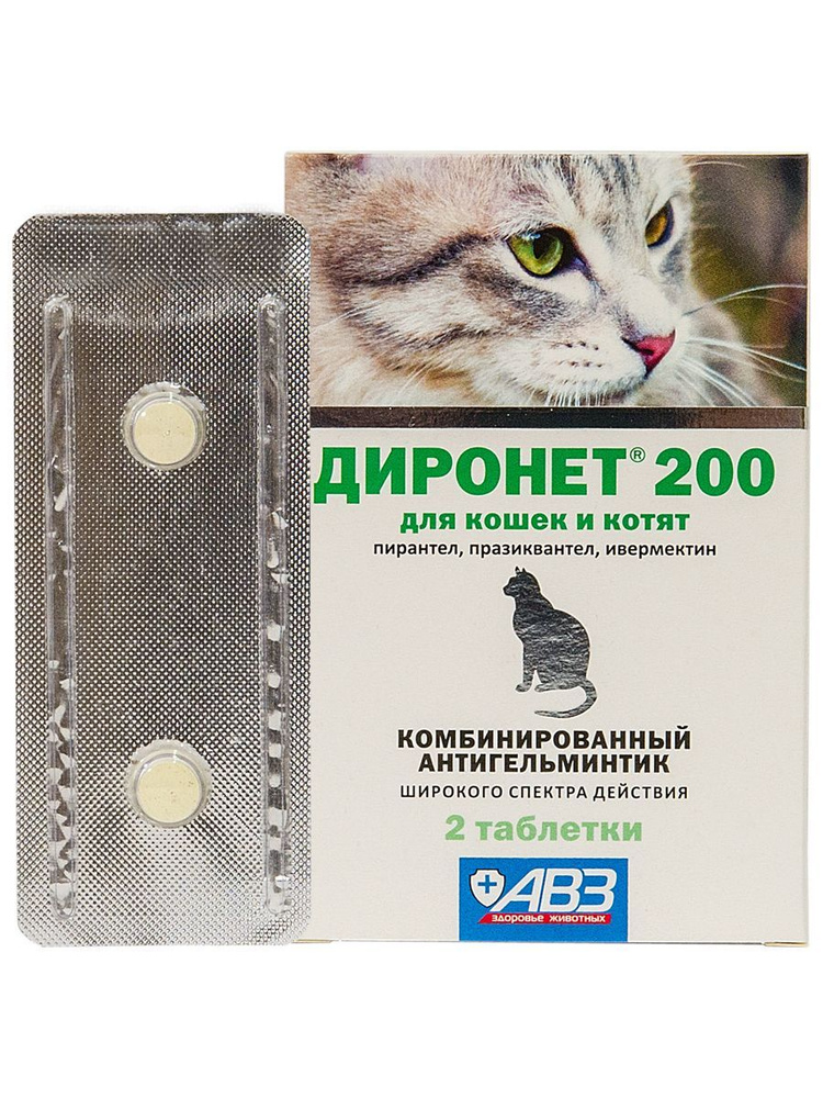 Диронет 200 комбинированный антигельминтик для кошек и котят АВЗ, 2  таблетки - купить с доставкой по выгодным ценам в интернет-магазине OZON  (1010963970)