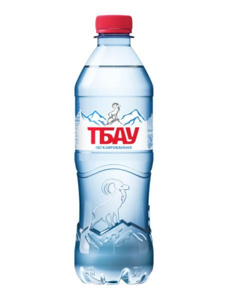 Вода питьевая природная Тбау 12 шт по 0,5 л без газа ПЭТ #1